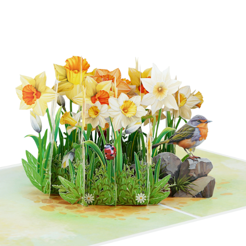 3D Daffodils & Robin Pop Up Card | PopOra